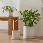 Dapper Deco Double Handle Vase