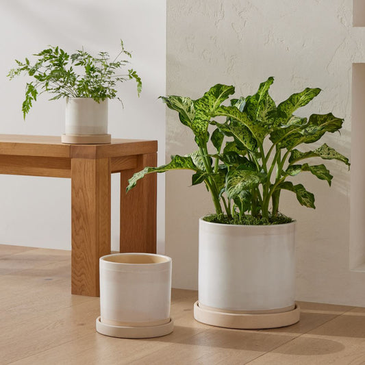 Dapper Deco Double Handle Vase